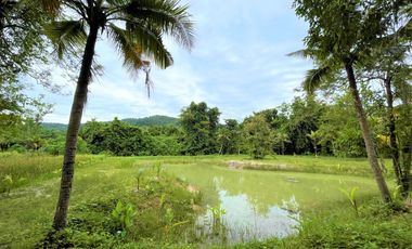 half Rai land for sale with beautiful mountain view, next to river in Nongthale, Krabi