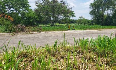 Perimeter Lot Available For Sale in Manila Southwoods Phase 3 Overlooking Golf Course