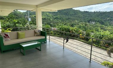 Luxury 15 Bedrooms Estate House & Lot in Danao, Cebu