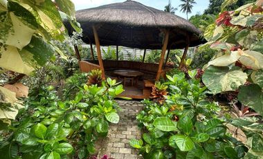 Luxury 15 Bedrooms Estate House & Lot in Danao, Cebu
