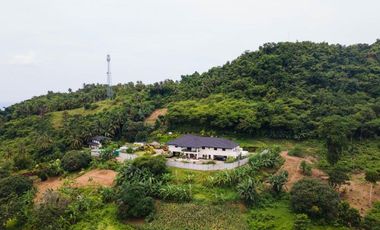 Luxury 15 Bedrooms Estate House & Lot in Danao, Cebu