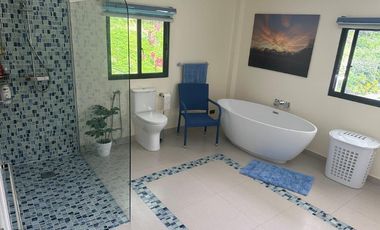 Luxury 15 Bedrooms Estate House & Lot in Danao, Cebu
