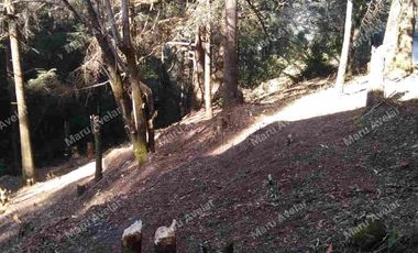 TERRENO VENTA EN TLAZALA DE ISIDRO FABELA