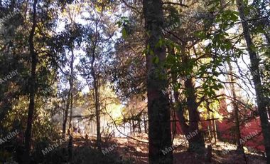 TERRENO VENTA EN TLAZALA DE ISIDRO FABELA