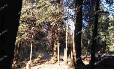 TERRENO VENTA EN TLAZALA DE ISIDRO FABELA