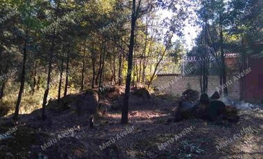 TERRENO VENTA EN TLAZALA DE ISIDRO FABELA