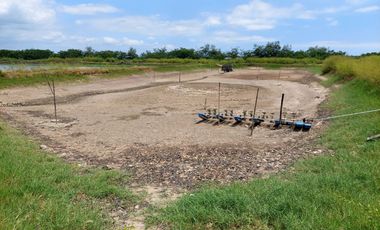 Venta de camaronera en Machala 23.5 has via a Balosa