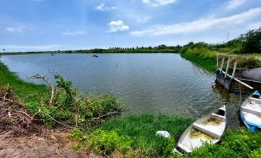 Venta de camaronera en Machala 23.5 has via a Balosa