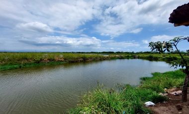 Venta de camaronera en Machala 23.5 has via a Balosa