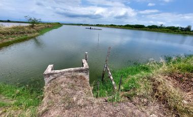 Venta de camaronera en Machala 23.5 has via a Balosa