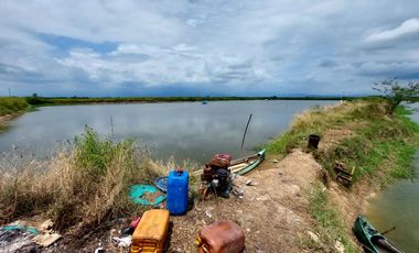 Venta de camaronera en Machala 23.5 has via a Balosa