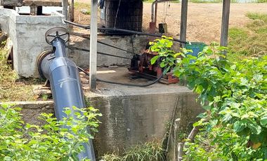 Venta de camaronera en Machala 23.5 has via a Balosa