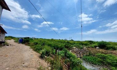 Venta de camaronera en Machala 23.5 has via a Balosa