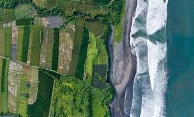 Beachfront Land In Gangga Tabanan