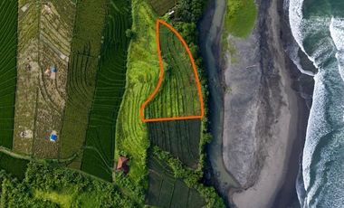 Beachfront Land In Gangga Tabanan