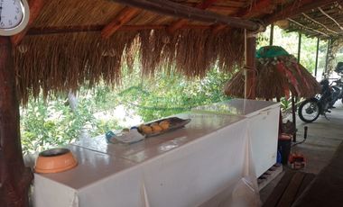 VENDEMOS HERMOSA FINCA CON ARBOLES FRUTALES Y LAGO.