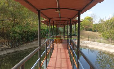 VENDEMOS HERMOSA FINCA CON ARBOLES FRUTALES Y LAGO.
