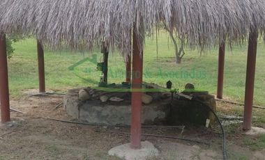 VENDEMOS HERMOSA FINCA CON ARBOLES FRUTALES Y LAGO.