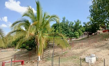 VENDEMOS HERMOSA FINCA CON ARBOLES FRUTALES Y LAGO.