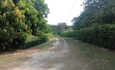 VENDEMOS HERMOSA FINCA CON ARBOLES FRUTALES Y LAGO.