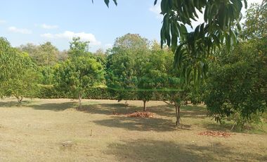 VENDEMOS HERMOSA FINCA CON ARBOLES FRUTALES Y LAGO.
