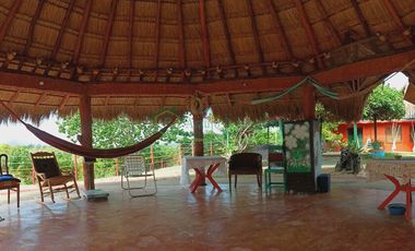 VENDEMOS HERMOSA FINCA CON ARBOLES FRUTALES Y LAGO.