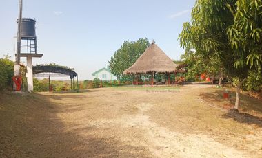 VENDEMOS HERMOSA FINCA CON ARBOLES FRUTALES Y LAGO.