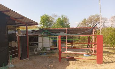 VENDEMOS HERMOSA FINCA CON ARBOLES FRUTALES Y LAGO.