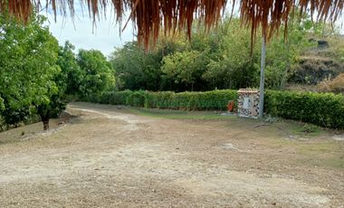VENDEMOS HERMOSA FINCA CON ARBOLES FRUTALES Y LAGO.