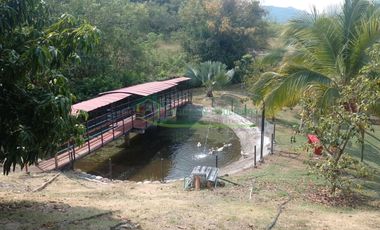 VENDEMOS HERMOSA FINCA CON ARBOLES FRUTALES Y LAGO.