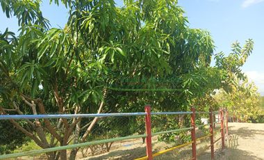 VENDEMOS HERMOSA FINCA CON ARBOLES FRUTALES Y LAGO.