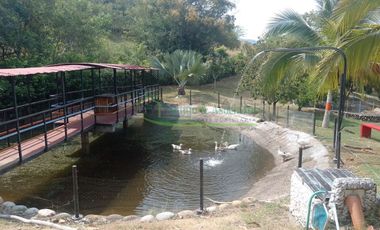 VENDEMOS HERMOSA FINCA CON ARBOLES FRUTALES Y LAGO.