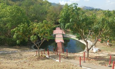 VENDEMOS HERMOSA FINCA CON ARBOLES FRUTALES Y LAGO.