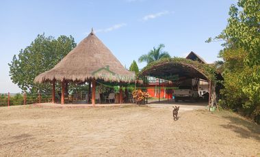 VENDEMOS HERMOSA FINCA CON ARBOLES FRUTALES Y LAGO.