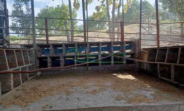 VENDEMOS HERMOSA FINCA CON ARBOLES FRUTALES Y LAGO.