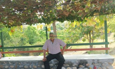 VENDEMOS HERMOSA FINCA CON ARBOLES FRUTALES Y LAGO.