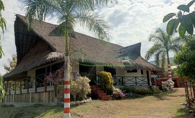 VENDEMOS HERMOSA FINCA CON ARBOLES FRUTALES Y LAGO.