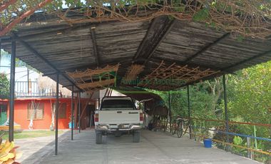 VENDEMOS HERMOSA FINCA CON ARBOLES FRUTALES Y LAGO.