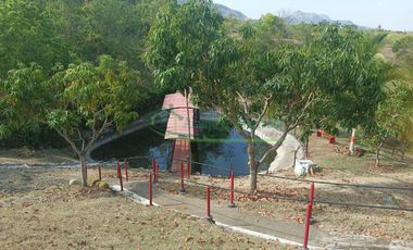 VENDEMOS HERMOSA FINCA CON ARBOLES FRUTALES Y LAGO.
