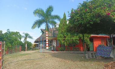 VENDEMOS HERMOSA FINCA CON ARBOLES FRUTALES Y LAGO.