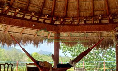 VENDEMOS HERMOSA FINCA CON ARBOLES FRUTALES Y LAGO.
