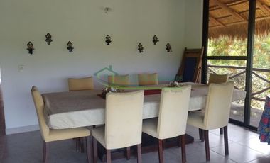 VENDEMOS HERMOSA FINCA CON ARBOLES FRUTALES Y LAGO.