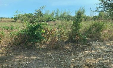 FOR SALE! 38,762sqm Vacant Lot for Sale in Tuy, Batangas