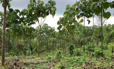 Finca de Venta en portoviejo