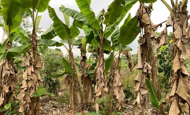 Finca de Venta en portoviejo