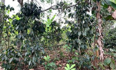 Finca de Venta en portoviejo