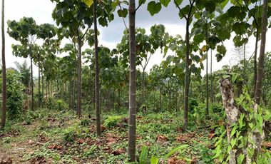 Finca de Venta en portoviejo