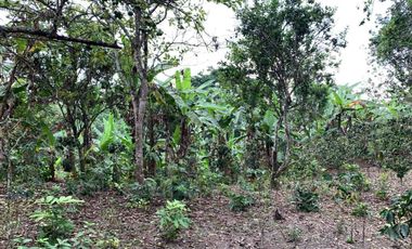 Finca de Venta en portoviejo