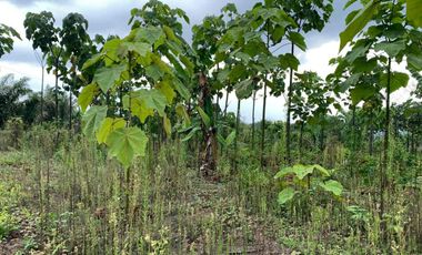 Finca de Venta en portoviejo