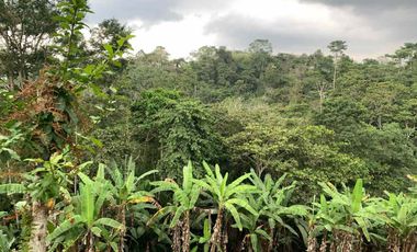 Finca de Venta en portoviejo